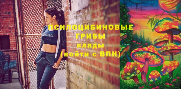 ПСИЛОЦИБИНОВЫЕ ГРИБЫ Волосово