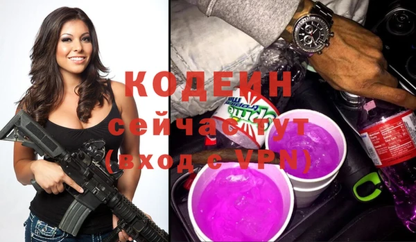 МДПВ Вяземский