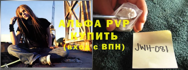 МДПВ Вяземский