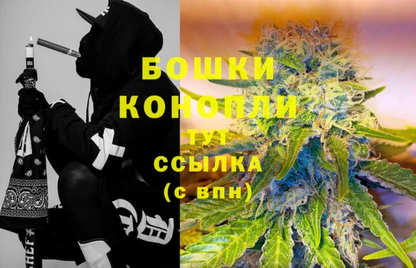 ПСИЛОЦИБИНОВЫЕ ГРИБЫ Волосово