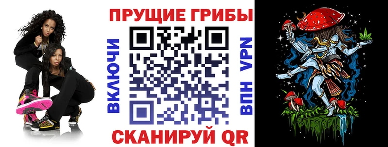 Псилоцибиновые грибы мицелий  Люберцы 